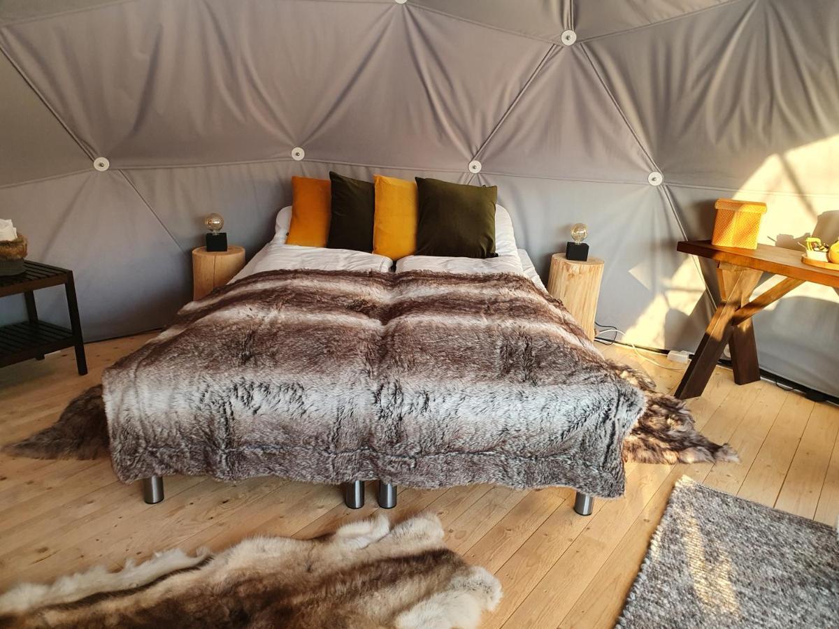 אלטה Gargia Lodge מראה חיצוני תמונה